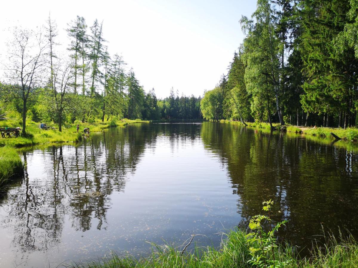 Apartman Spa Sumava Zdikov Экстерьер фото